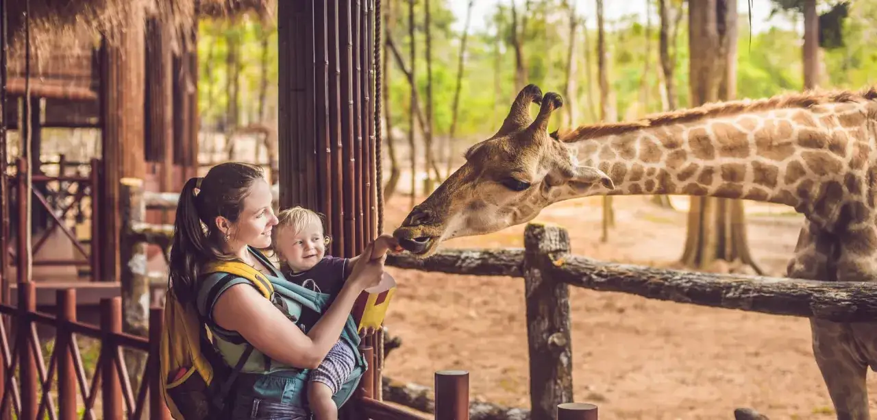 Mama z dzieckiem karmi żyrafę w zoo Polska. Radość dziecka i bliskość natury.