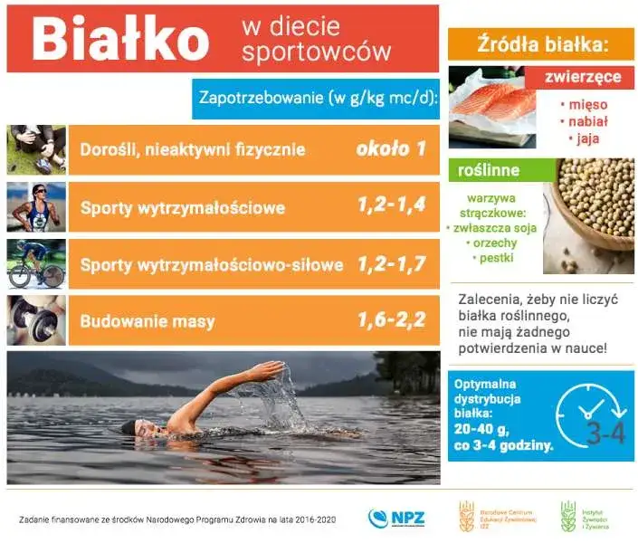 ile gram białka po treningu infografika