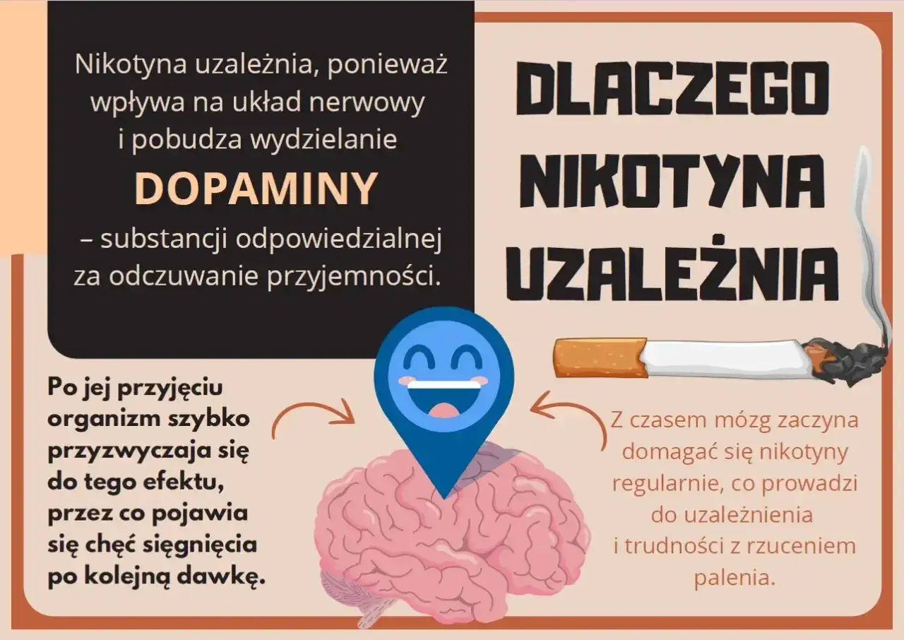 Palenie nasila nerwicę, bo nikotyna uzależnia, wpływając na mózg i wydzielanie dopaminy. Organizm szybko się przyzwyczaja, co prowadzi do trudności z rzuceniem nałogu.