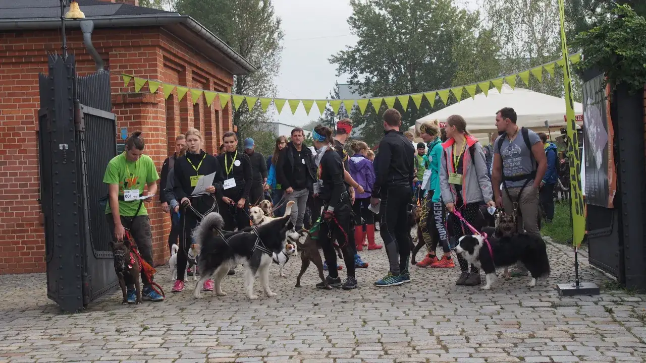 Grupa ludzi z psami szykuje się do dog trekking. Widać r&oacute;żne rasy ps&oacute;w i ich opiekun&oacute;w, gotowych na wsp&oacute;lną przygodę.
