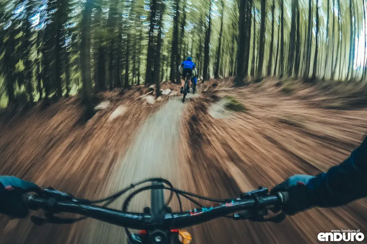 Zjazd rowerem po leśnym singletracku glacensis. Rozmyte drzewa i ścieżka tworzą wrażenie prędkości.