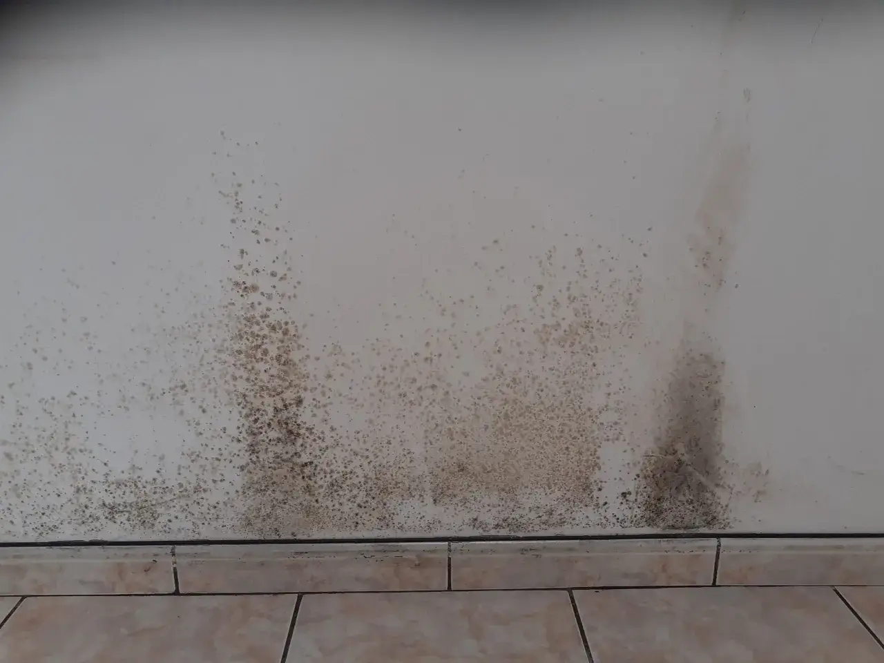 Taches de moisissure brunes et noires sur un mur blanc, signe d'un placo humide.