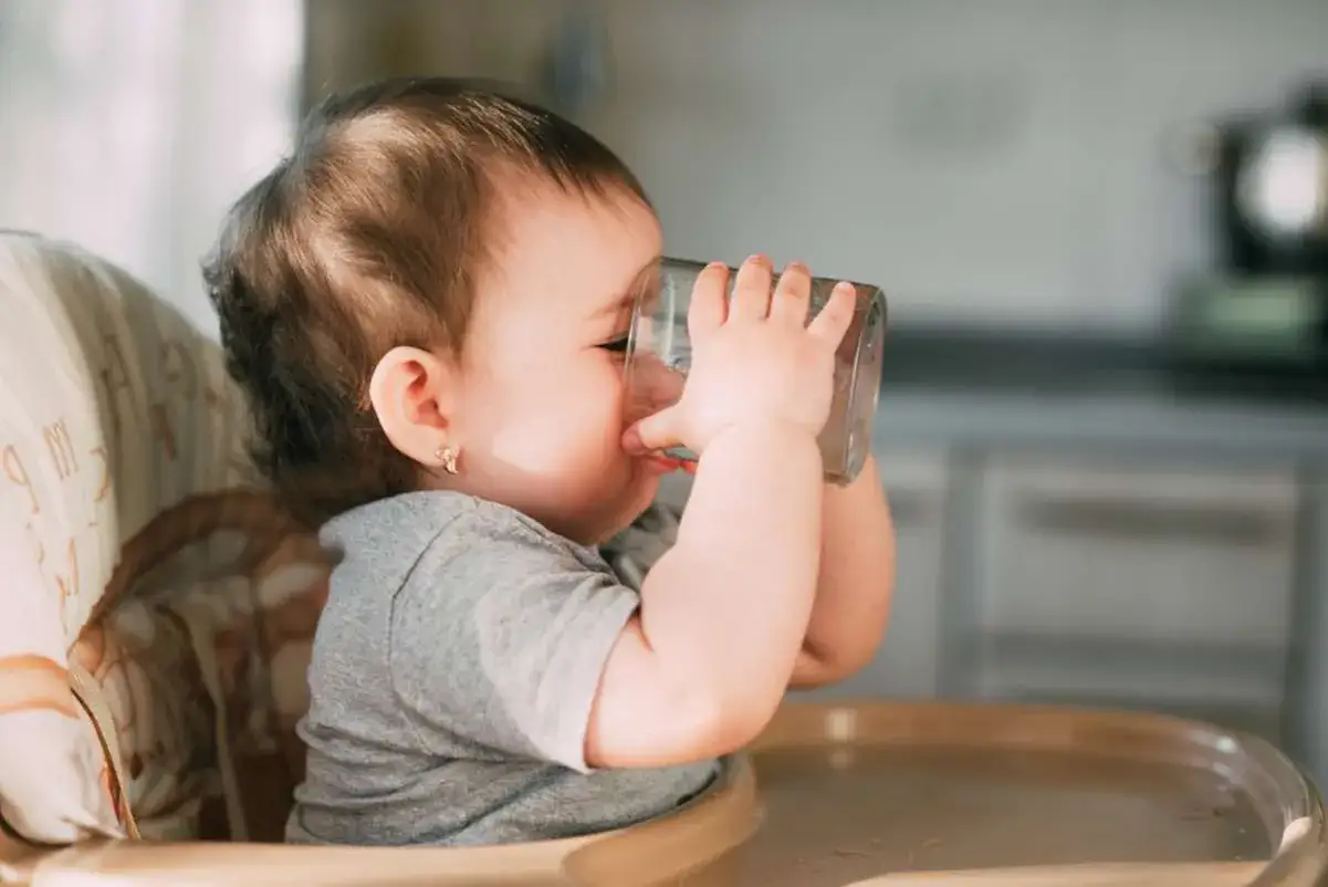 Kleines Baby in Hochstuhl, das eifrig aus einem Glas trinkt. Es scheint, als ob das Baby zu viel trinkt, da es das Glas fest umklammert.
