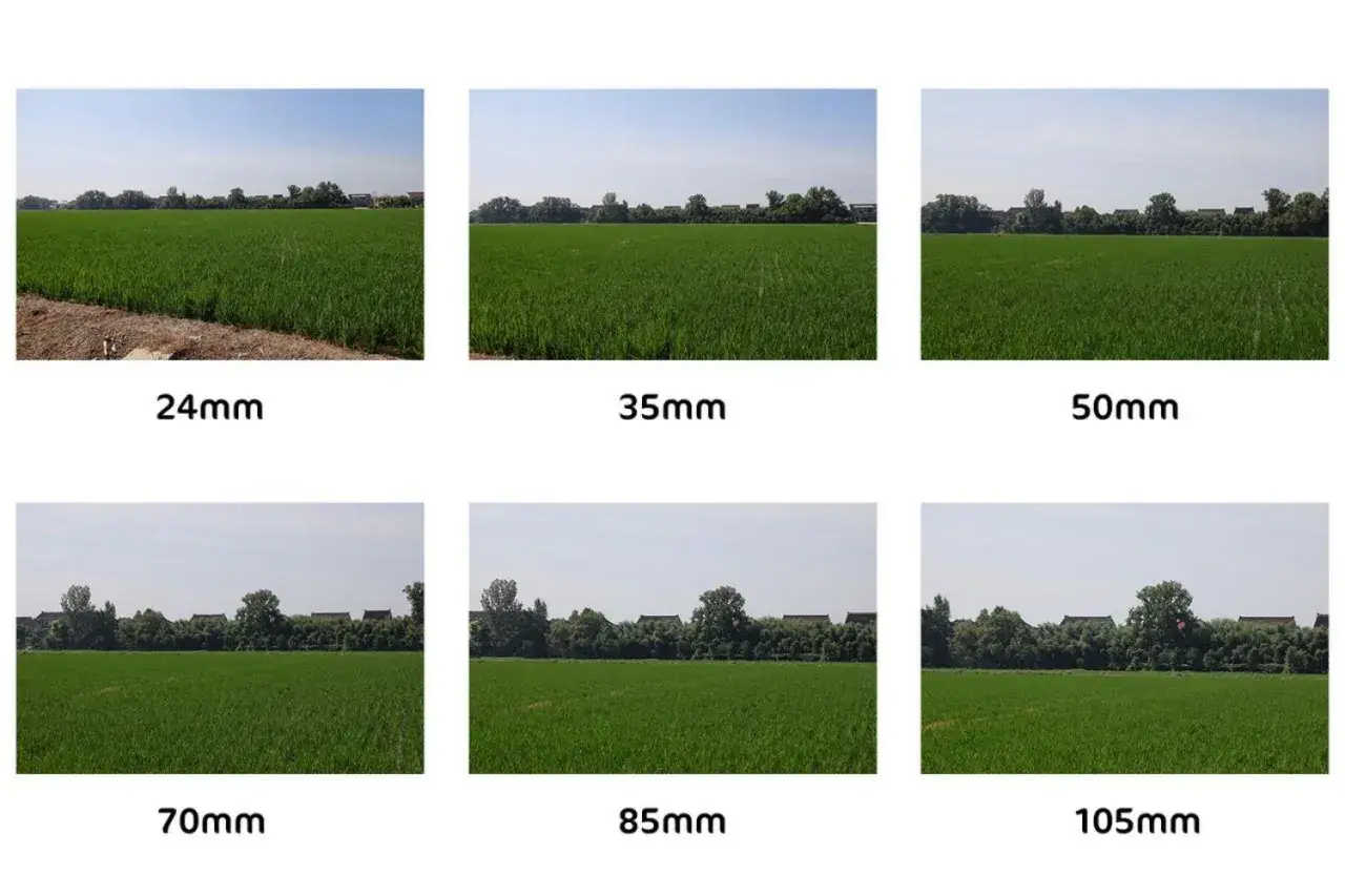 Sei immagini di un campo di riso mostrano cos'è la distanza focale, da 24mm a 105mm, con un ingrandimento progressivo.