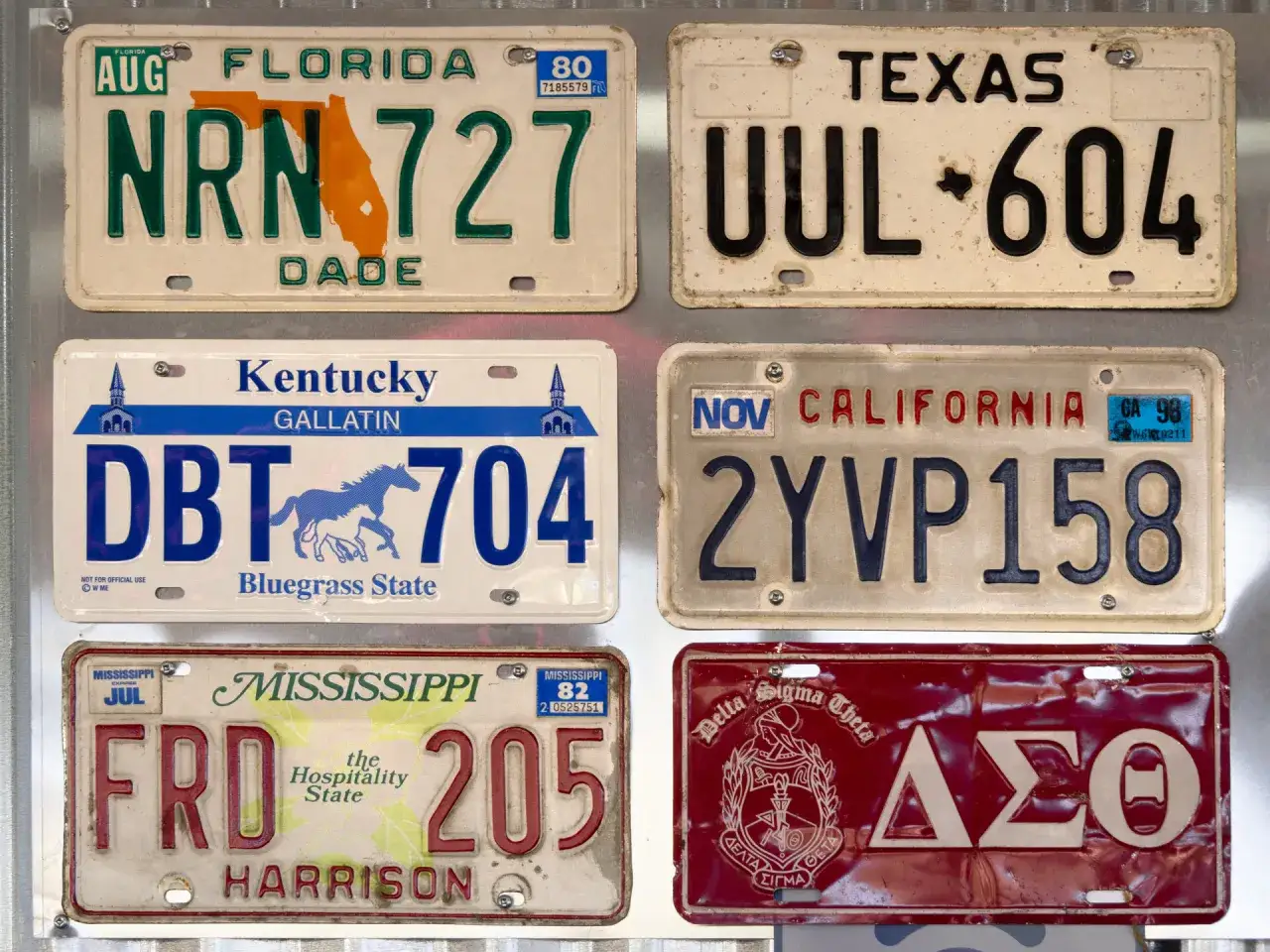 Kolekcja tablic rejestracyjnych świata: Florida, Texas, Kentucky, California, Mississippi i tablica z symbolem Delta Sigma Theta.