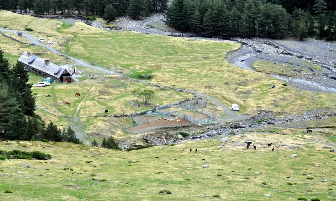 Vue a&eacute;rienne du hospice du Rioumajou, avec ses b&acirc;timents, des chevaux et des moutons dans des enclos, au milieu d'une vall&eacute;e verdoyante bord&eacute;e de pins.