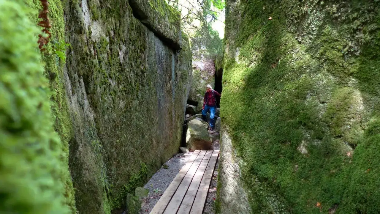 En person vandrar på en träspång genom en mossig ravin i Åsnen nationalpark.