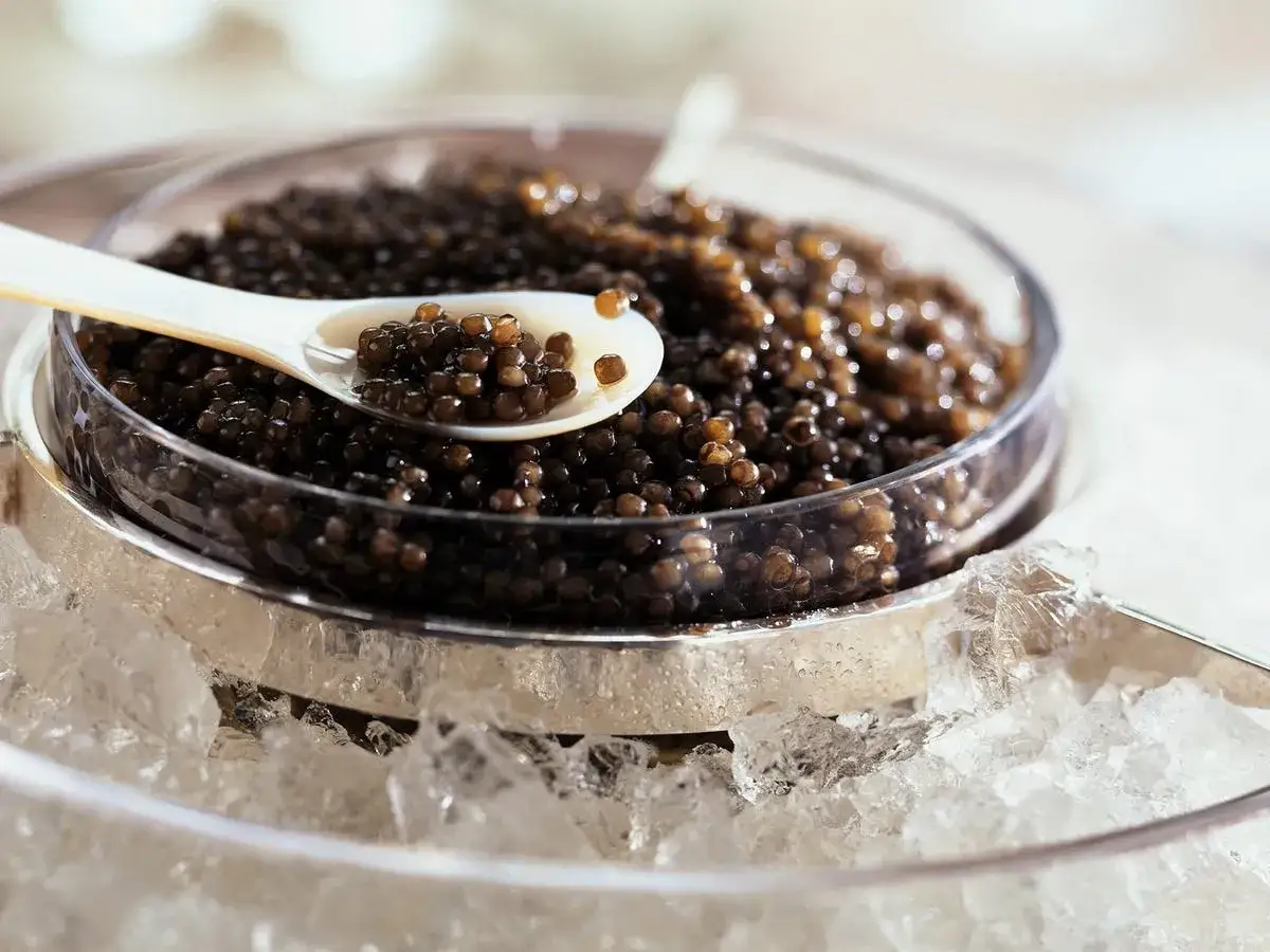 Caviar negro en cuchara de nácar, servido sobre hielo. Un manjar que representa la comida más cara del mundo.