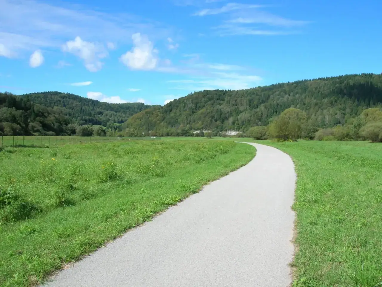 Asfaltowa ścieżka wije się przez zieloną łąkę, prowadząc w stronę zalesionych wzg&oacute;rz. Idealne miejsce na przejażdżkę **Velo Krynica**.