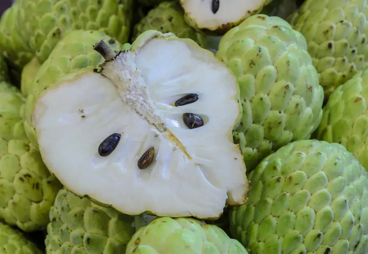 Cherimoya owoc, przekrojony na p&oacute;ł, ukazuje kremowe wnętrze z ciemnymi nasionami. Otoczony przez inne zielone owoce.