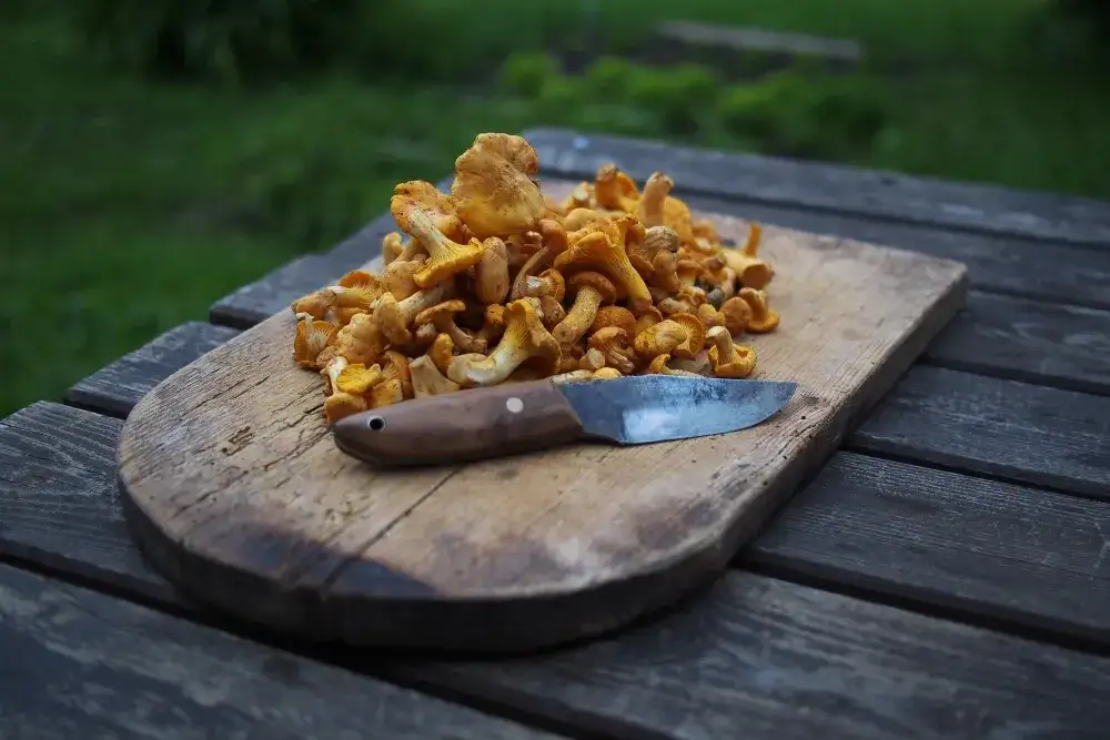 Świeże kurki na desce do krojenia