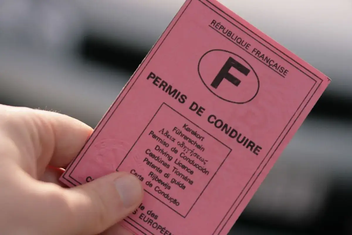 Main rose, un ancien permis de conduire fran&ccedil;ais avec la lettre F.
