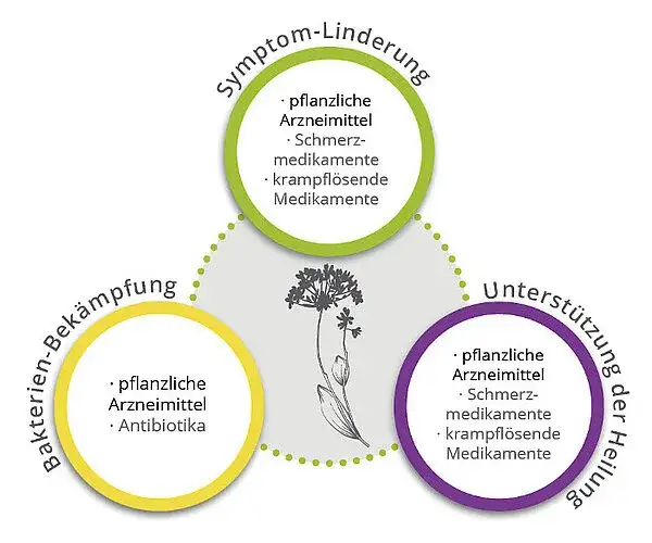 Checkliste Blasenentzündung Medikamente Entscheidung