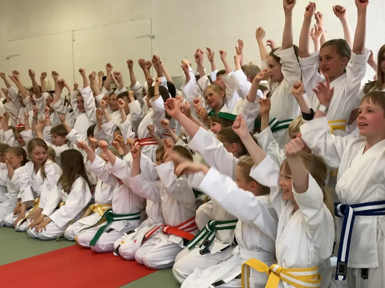 Barn i budo kampsport-dräkter med uppsträckta armar och knutna nävar, redo för träning eller uppvisning.