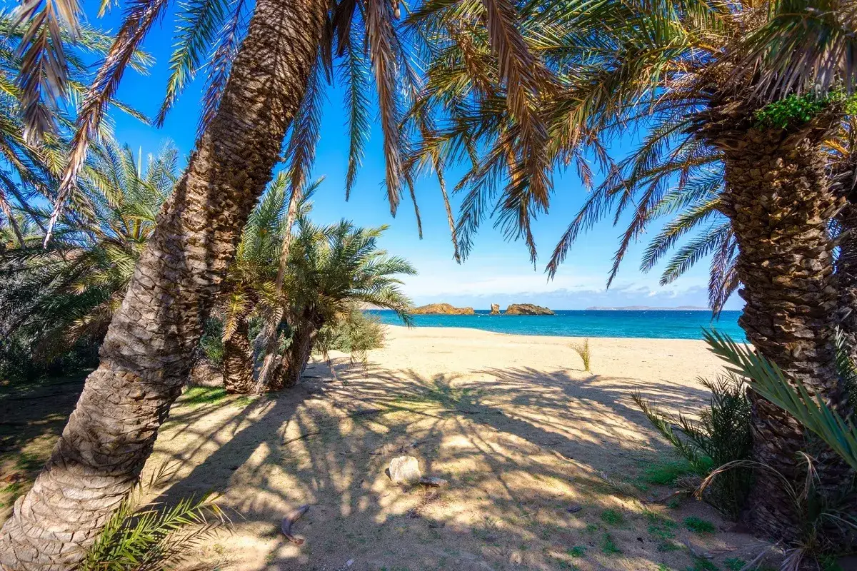 Rajska plaża Vai z palmami kołyszącymi się na wietrze, piasek i turkusowe morze.