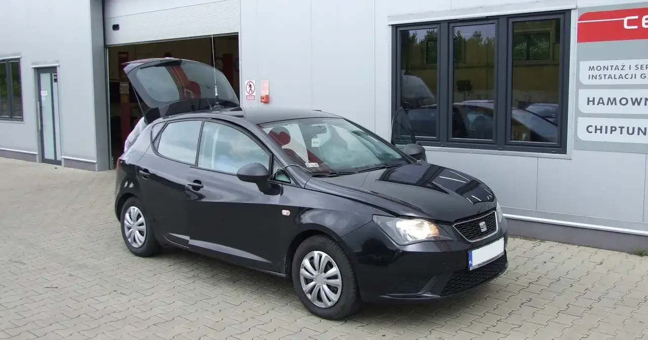 Seat Ibiza IV w trasie długi zasięg