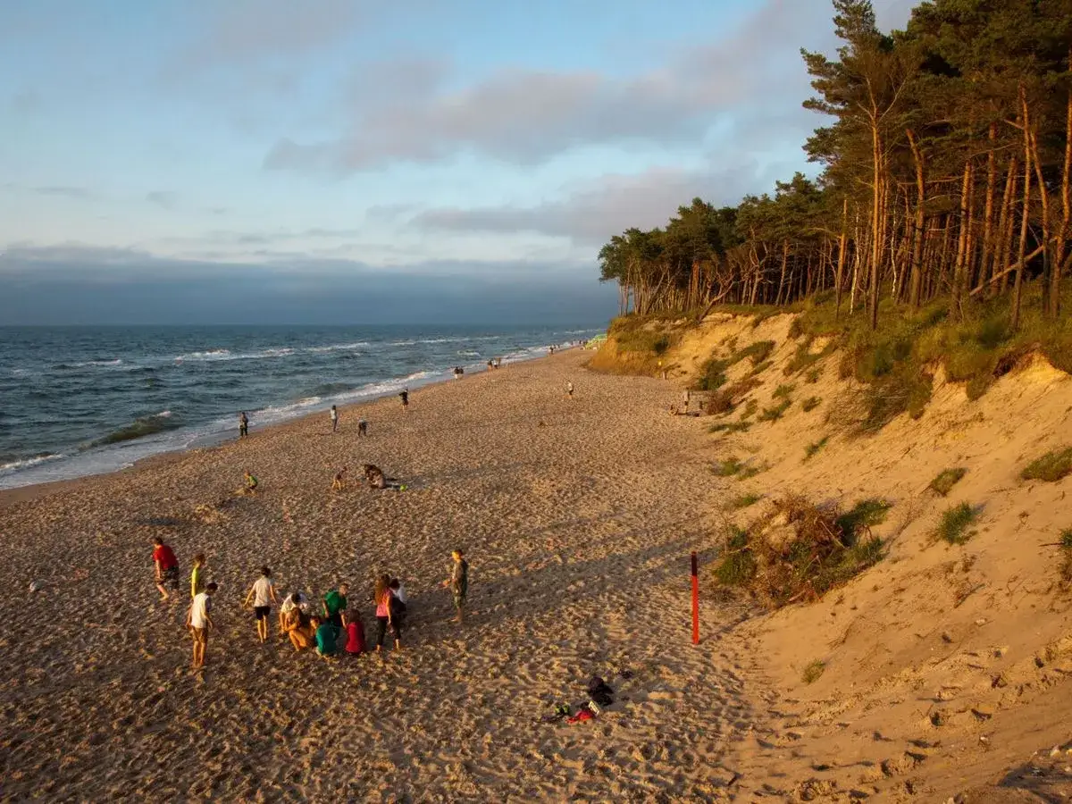 Ludzie spacerują po piaszczystej plaży na zachodnim wybrzeżu Bałtyku. W oddali widać las sosnowy na wydmach.