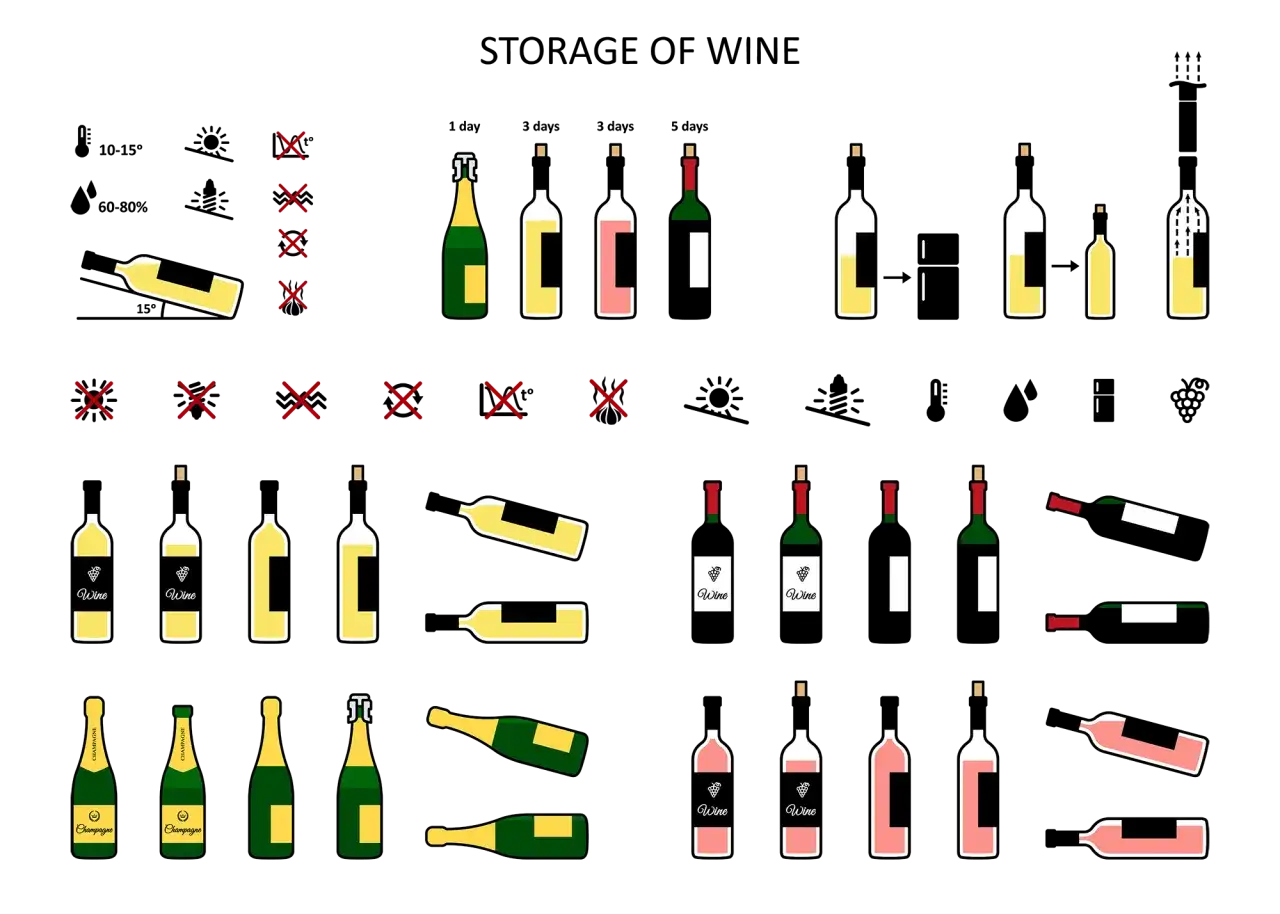 Illustrations de bouteilles de vin et de champagne, certaines couchées, d'autres debout. Des 