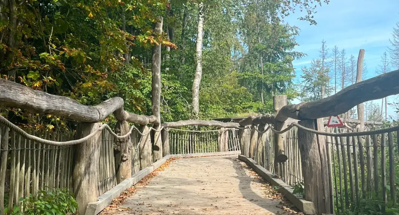 Holzbrücke mit Seilgeländer und rustikalen Holzpfosten, Teil eines erlebnispfad nrw. Laub bedeckt den Weg.