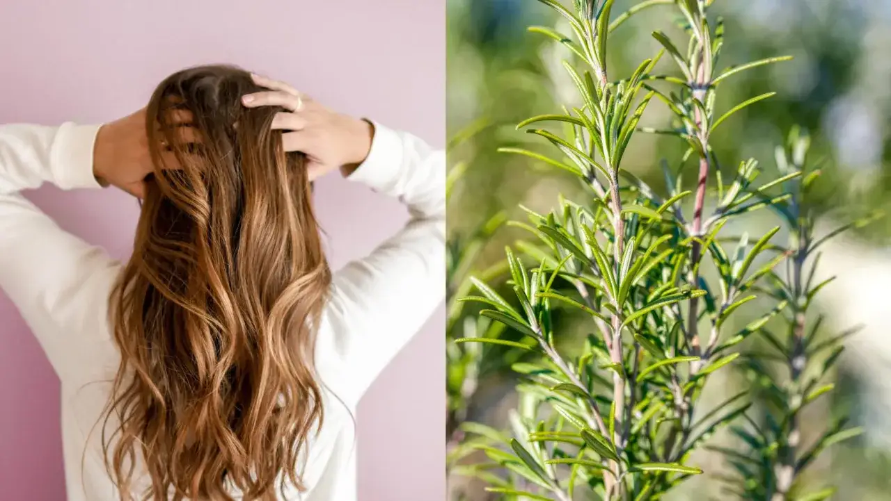 Mujer con cabello largo y ondulado y primer plano de ramas de romero, ideal para el agua de romero para el pelo.