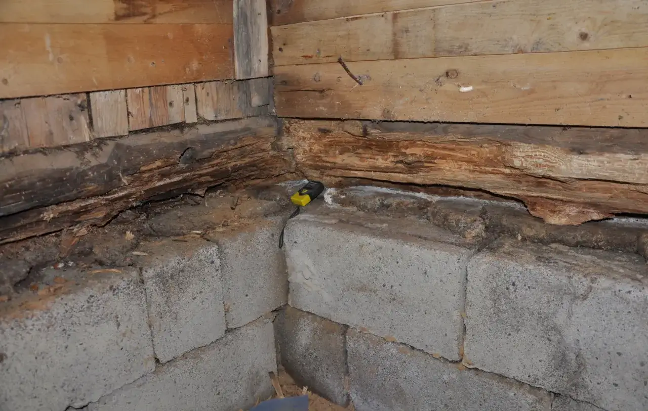 Skadad syll i ett hus, redo att byta syll. En mätare ligger på betongblocken.