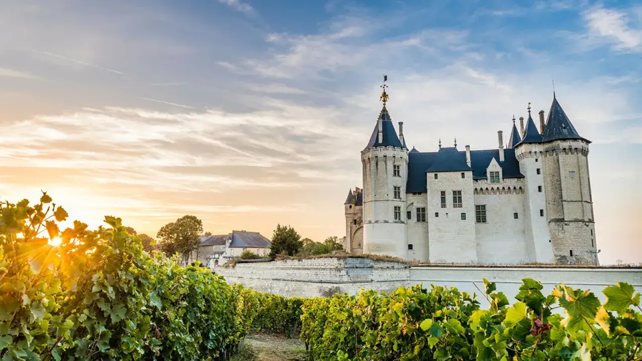 Château de Saumur baigné par le soleil couchant, avec des vignes au premier plan. Une visite inoubliable.
