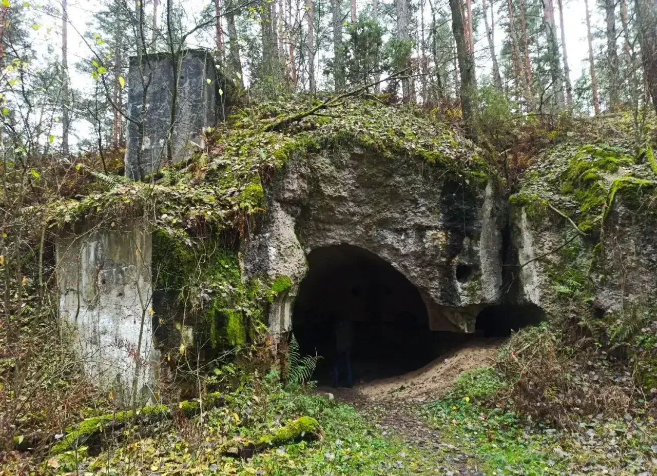 Ruiny twierdzy Osowiec, porośnięte mchem i liśćmi, zapraszają na zwiedzanie. Wejście do bunkra w lesie.