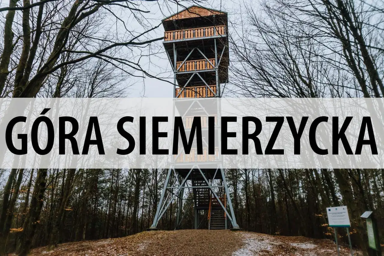 Wieża widokowa na Górze Siemierzyckiej w otoczeniu nagich drzew.
