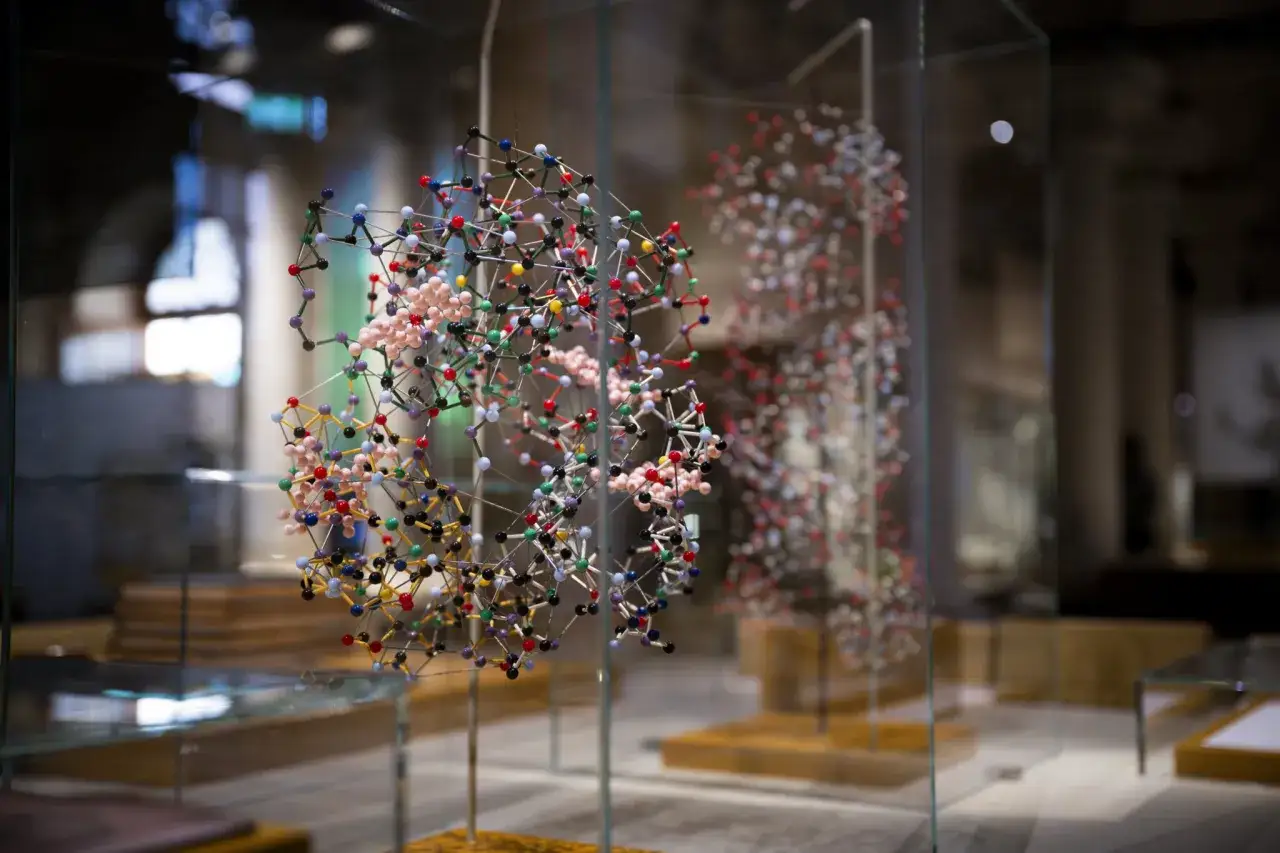 Molekylmodeller i glasmonter på Nobel Prize Museum.