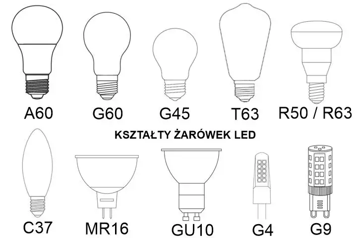 r&oacute;żne typy żar&oacute;wek segregacja