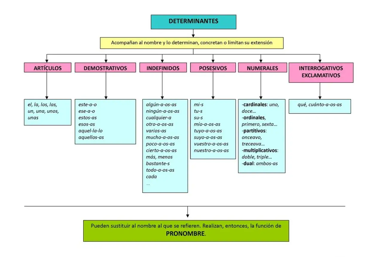 Diagrama de los tipos de determinantes: art&iacute;culos, demostrativos, indefinidos, posesivos, numerales e interrogativos/exclamativos.
