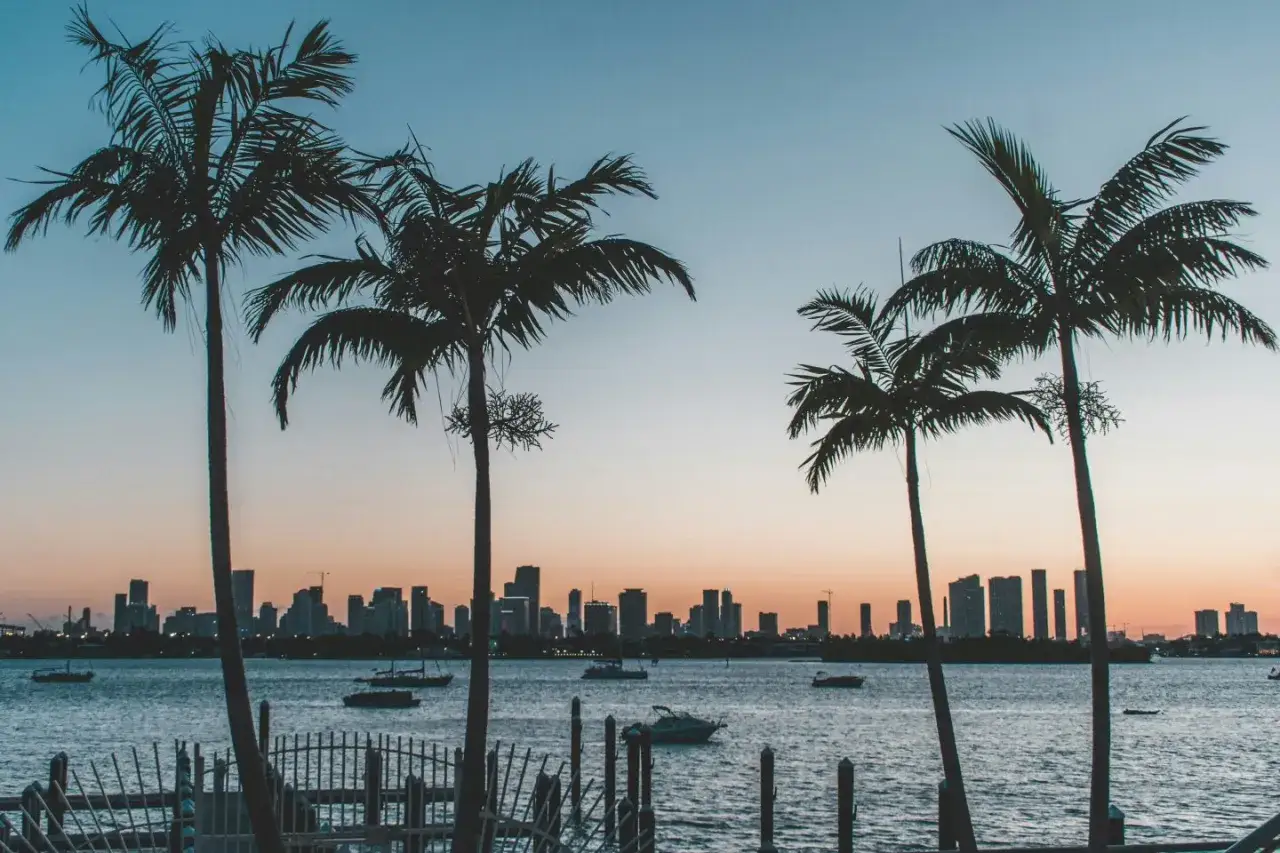 Palmen säumen die Skyline von Miami bei Sonnenuntergang. Perfekte miami reisetipps für einen entspannten Abend am Wasser.