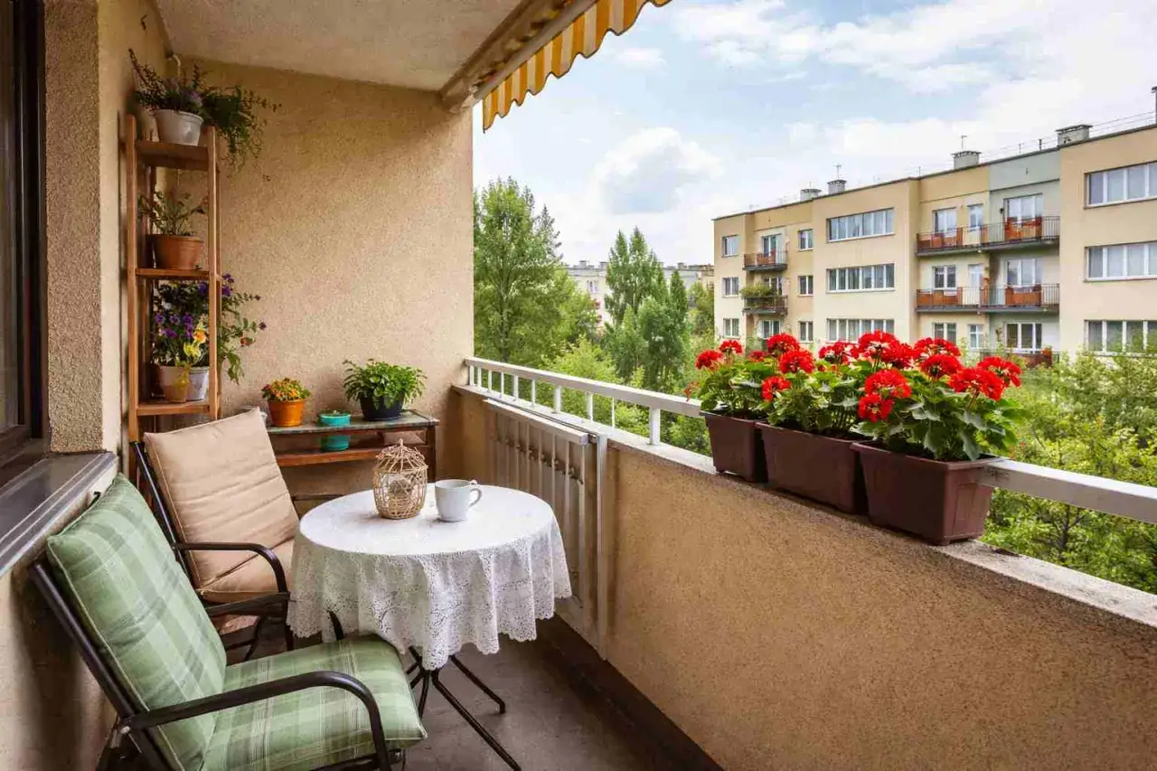 Uroczy balkon z meblami i kwiatami. Czy to rośliny odpowiadają za przeciekający balkon?