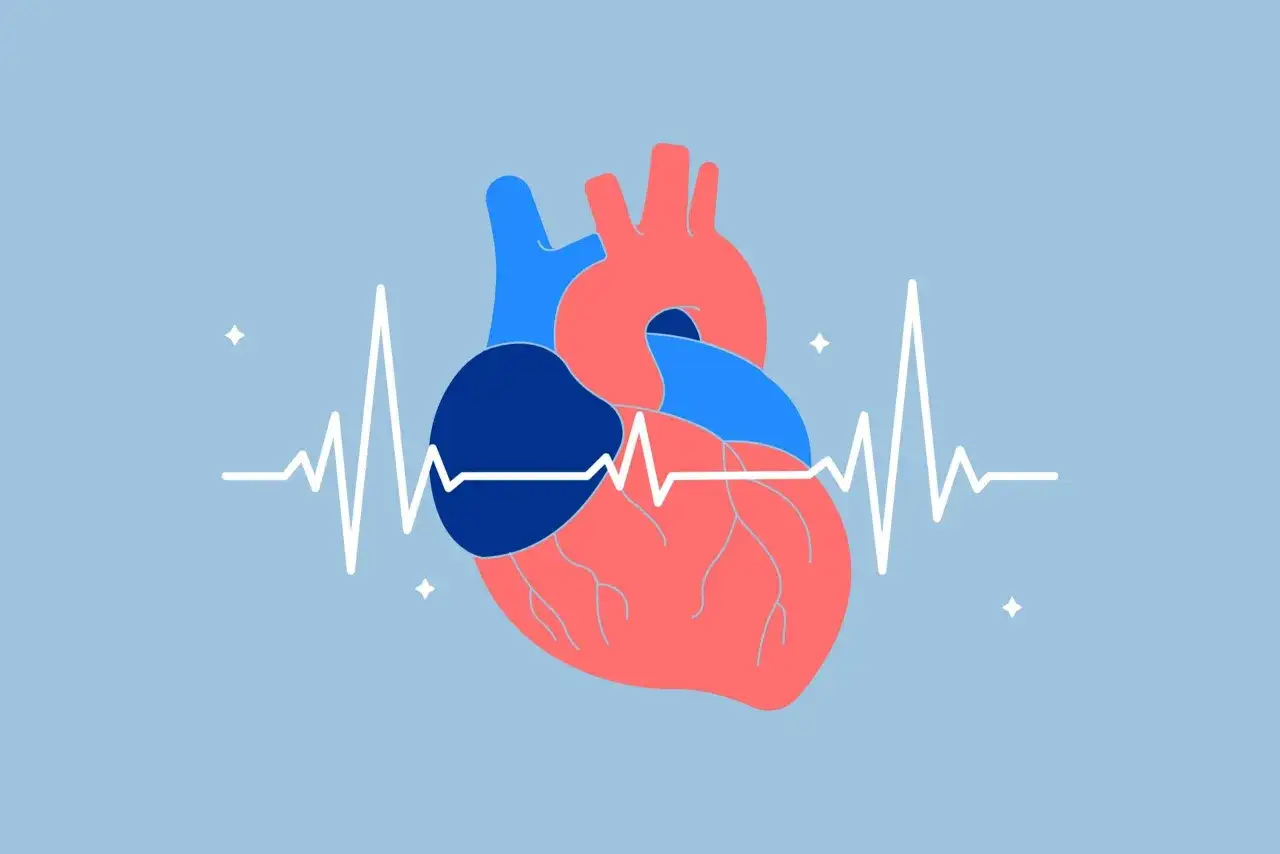 Abstraktes Herz mit EKG-Linie, die einen gesunden Herzschlag symbolisiert. Ein gutes Zeichen, um das HRV verbessern zu können.