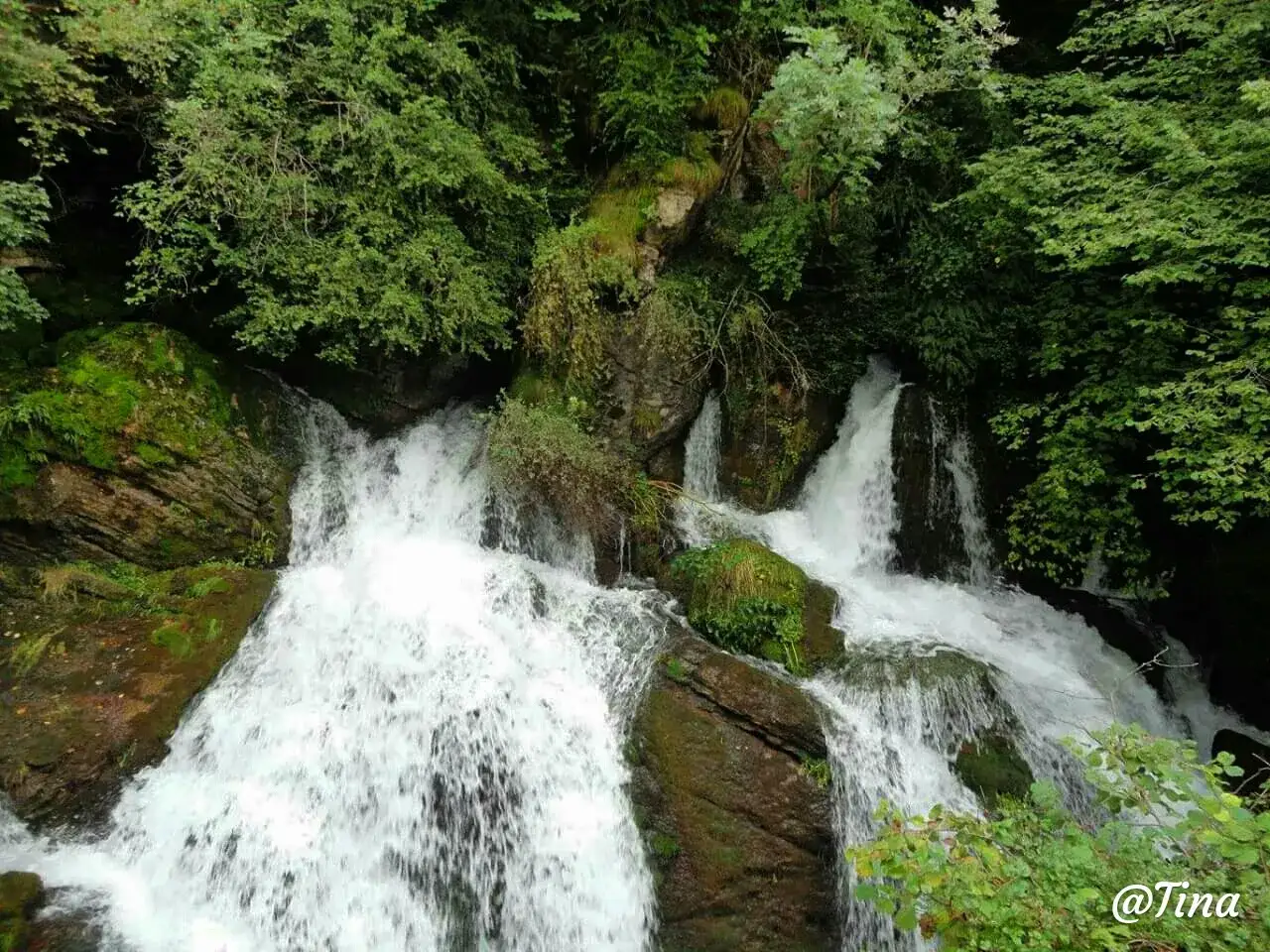 Cascada exuberante en Fonts del Llobregat, con agua blanca cayendo entre rocas cubiertas de musgo y vegetación frondosa.