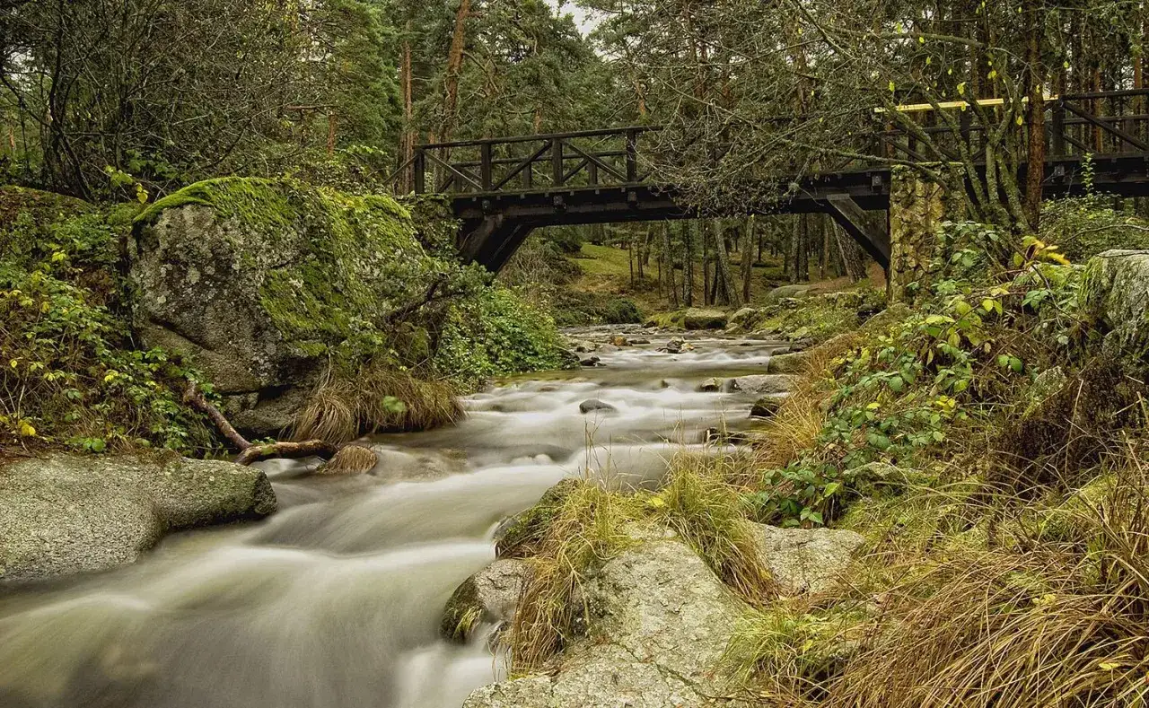 Un r&iacute;o serpentea entre rocas cubiertas de musgo, bajo un puente de madera. El agua fluye suavemente, como la boca del asno, en este bosque oto&ntilde;al.