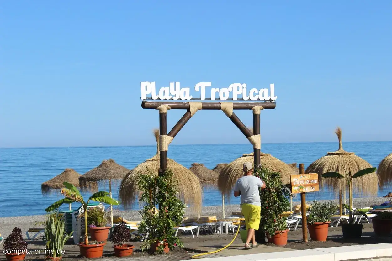 Ein Mann bew&auml;ssert Pflanzen am Playa Tropical, dem Torre del Mar Strand. Sonnenschirme und das Meer im Hintergrund.