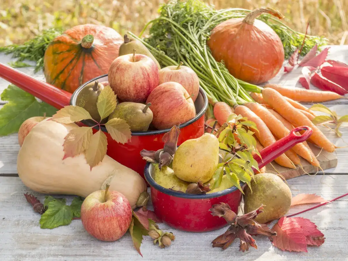 Fruits et l&eacute;gumes d'automne, parfaits pour une activit&eacute; manuelle semaine du go&ucirc;t. Pommes, poires, courges, carottes et noisettes.