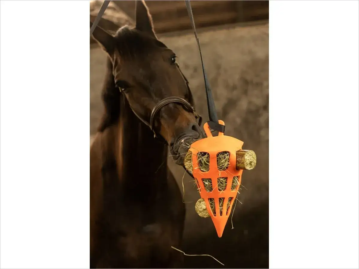 Cheval mangeant dans un distributeur orange. Une alimentation lente peut aider à prévenir les problèmes comme la luzerne et l'ulcère chez le cheval.