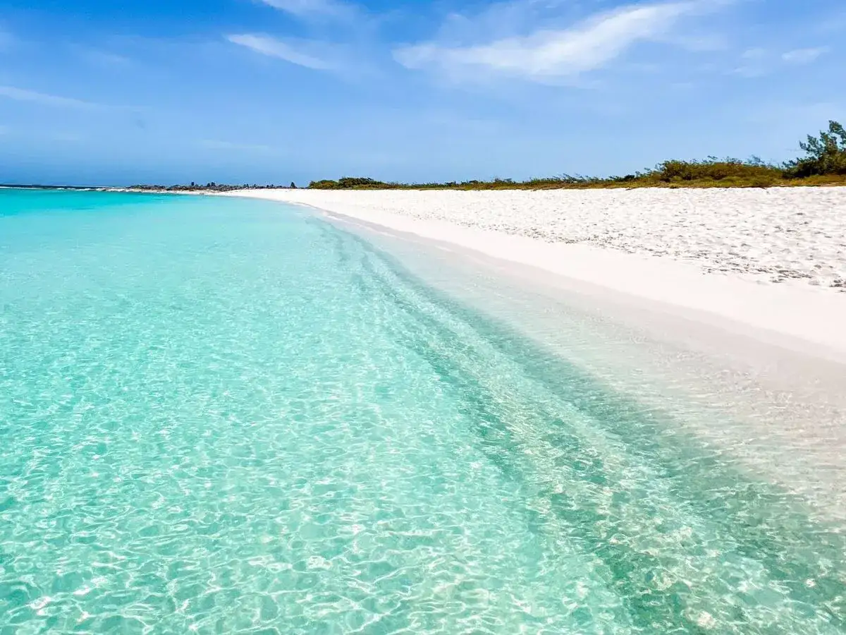 Aguas cristalinas y arena blanca en la costa blanca, un paraíso tropical bajo un cielo azul.