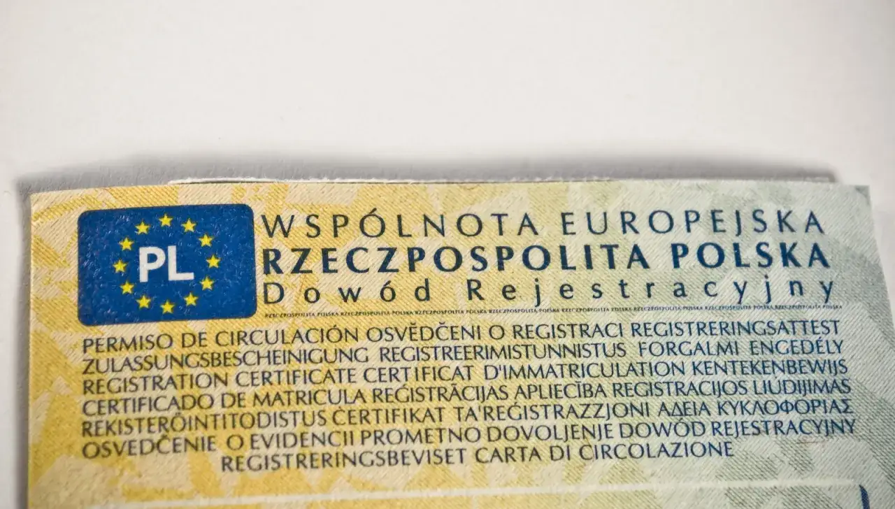 Fragment dowodu rejestracyjnego z napisem 