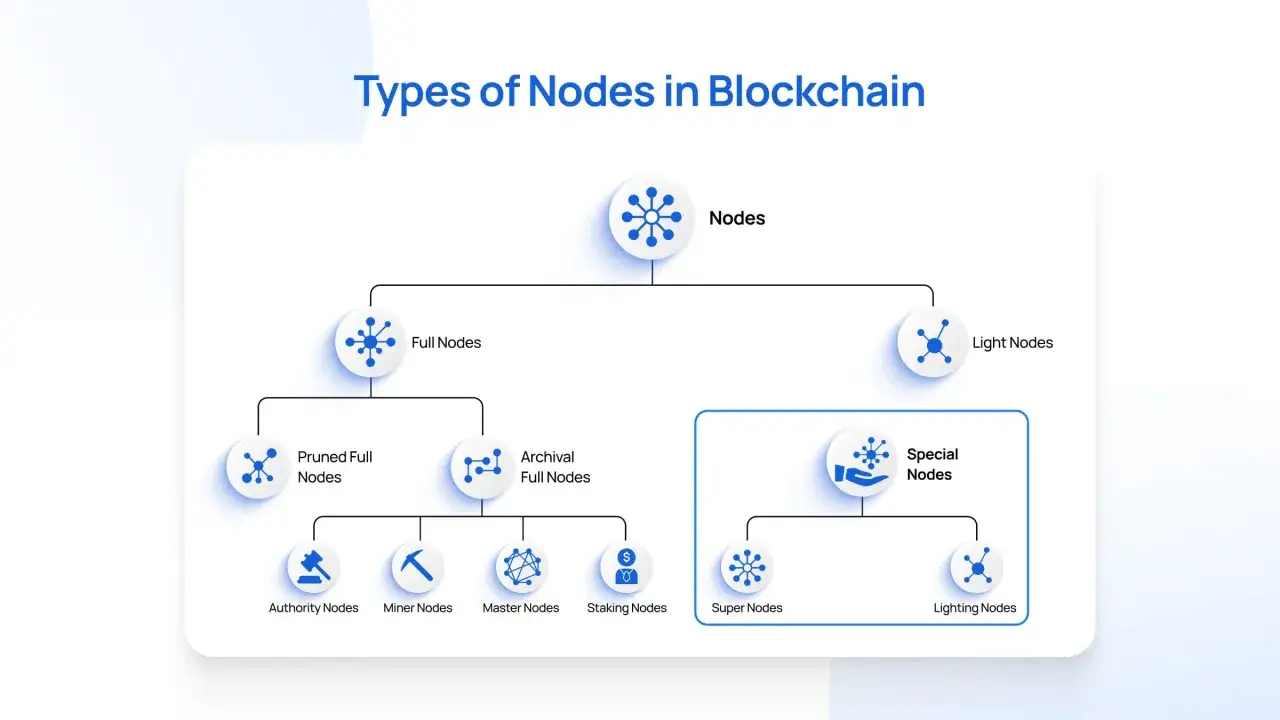 Schemat przedstawia rodzaje węzł&oacute;w w blockchain: pełne, przycięte, archiwalne, lekkie, specjalne (super, oświetleniowe, autorytetu, g&oacute;rnicze, mistrzowskie, stakingowe). Dowiedz się, co to node!