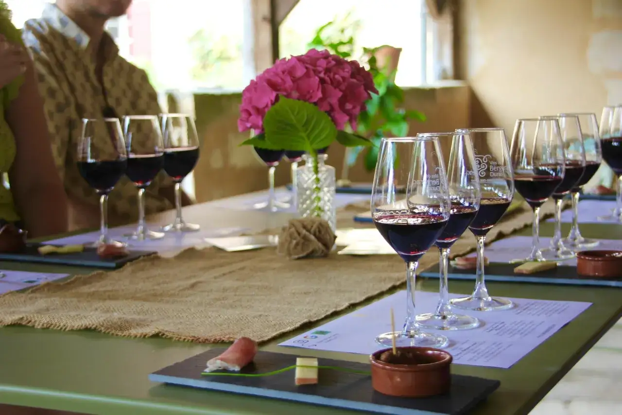 D&eacute;gustation de vins rouges, un accord met vin parfait. Verres align&eacute;s, amuse-bouches et fleurs pour une exp&eacute;rience gustative.