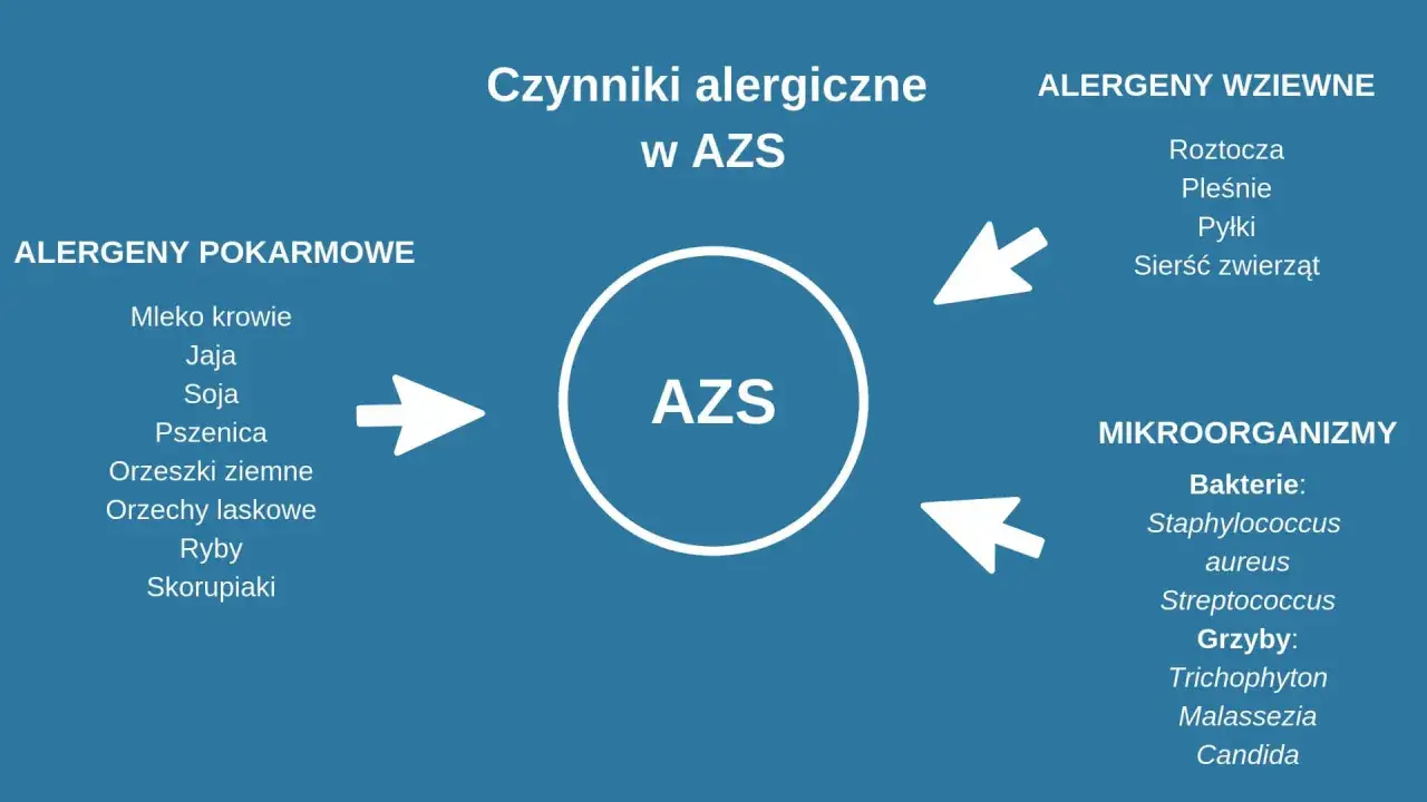 Czynniki zaostrzające atopowe zapalenie skóry infografika