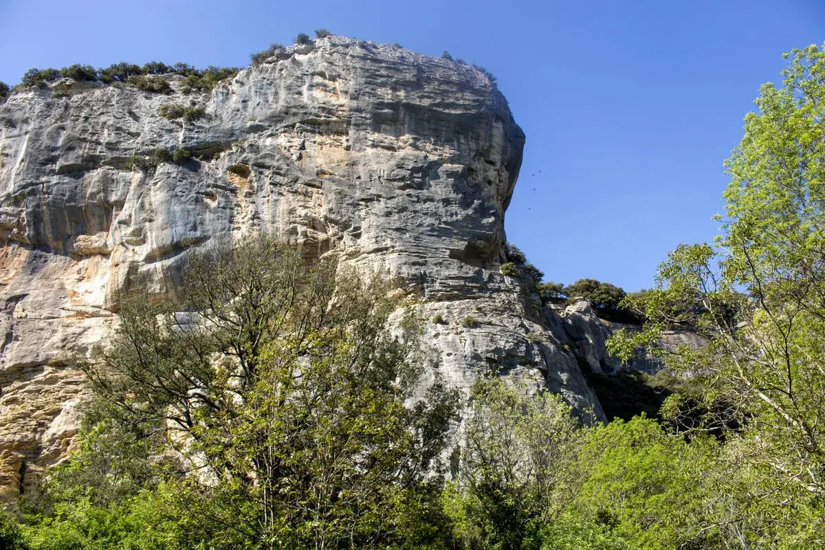 Falaise imposante, idéale pour l'escalade pertuis. Des arbres verdoyants bordent la paroi rocheuse sous un ciel bleu éclatant.