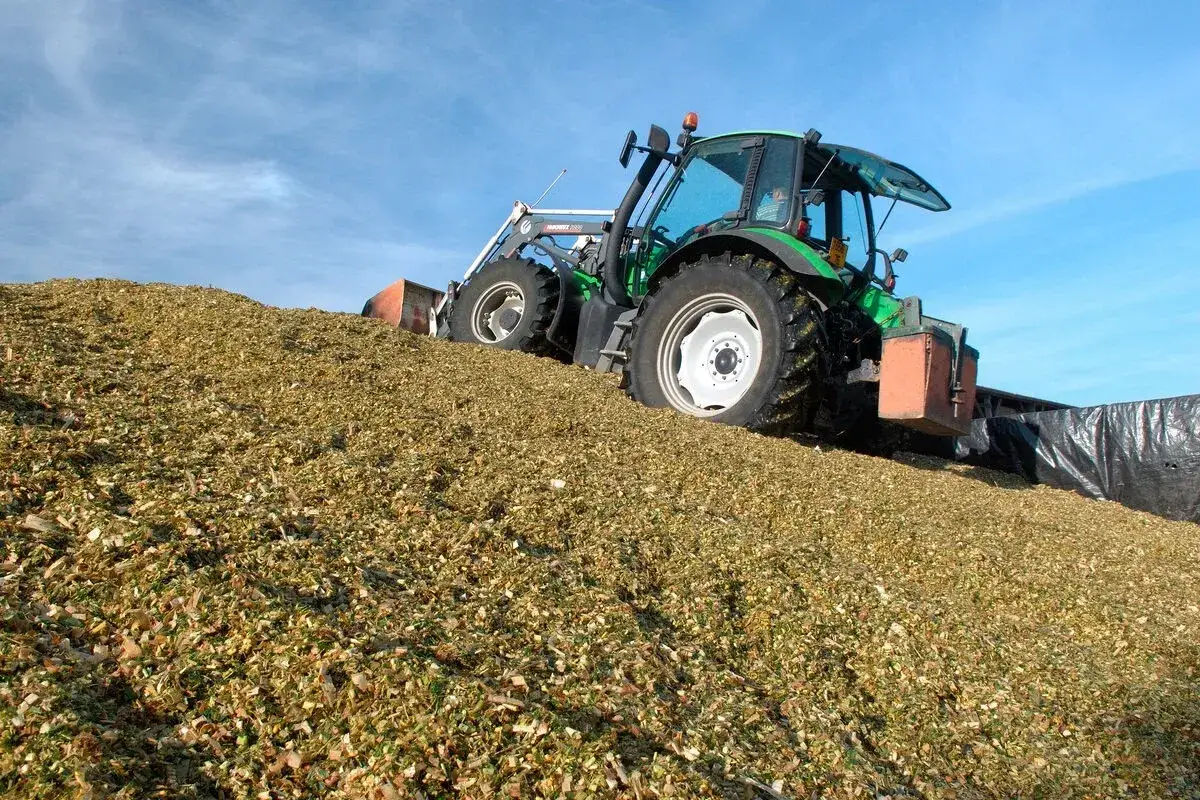 Tracteur vert travaillant sur un silo ensilage, empilant le fourrage sous un ciel bleu.