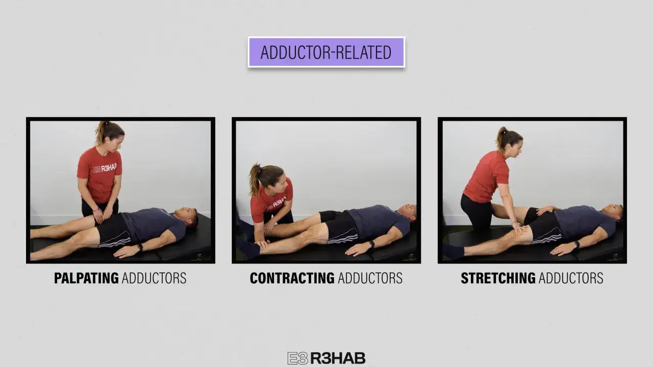 Trois images montrent une femme appliquant des techniques sur les adducteurs d'un homme allongé : palpation, contraction et étirement adducteur.