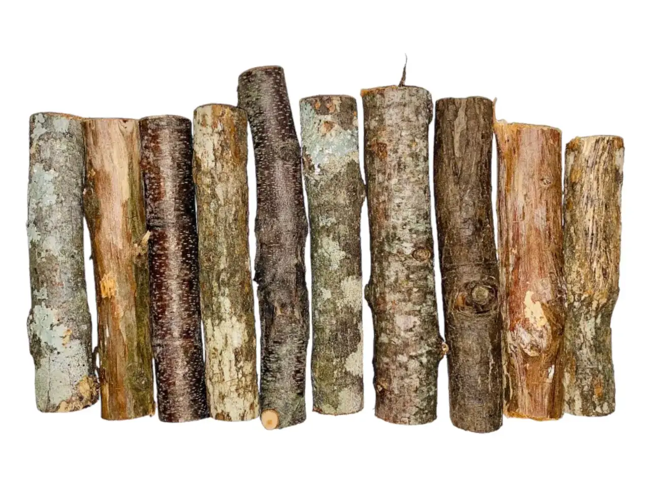 Variedad de troncos de madera en bruto, listos para comprar. Cada uno con texturas y cortezas &uacute;nicas, perfectos para proyectos r&uacute;sticos.