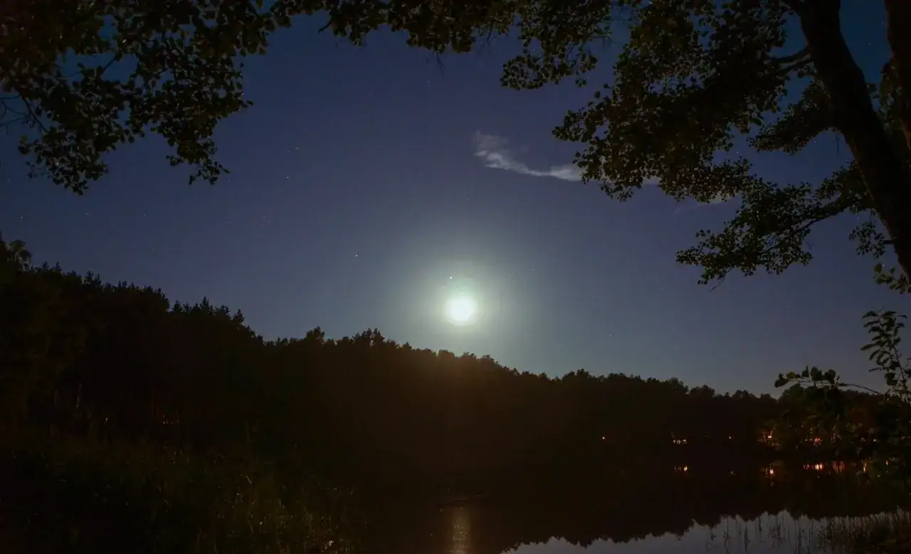 Jasna pełnia w październiku nad ciemnym lasem i jeziorem. Gałęzie drzew tworzą ramę dla nocnego nieba.