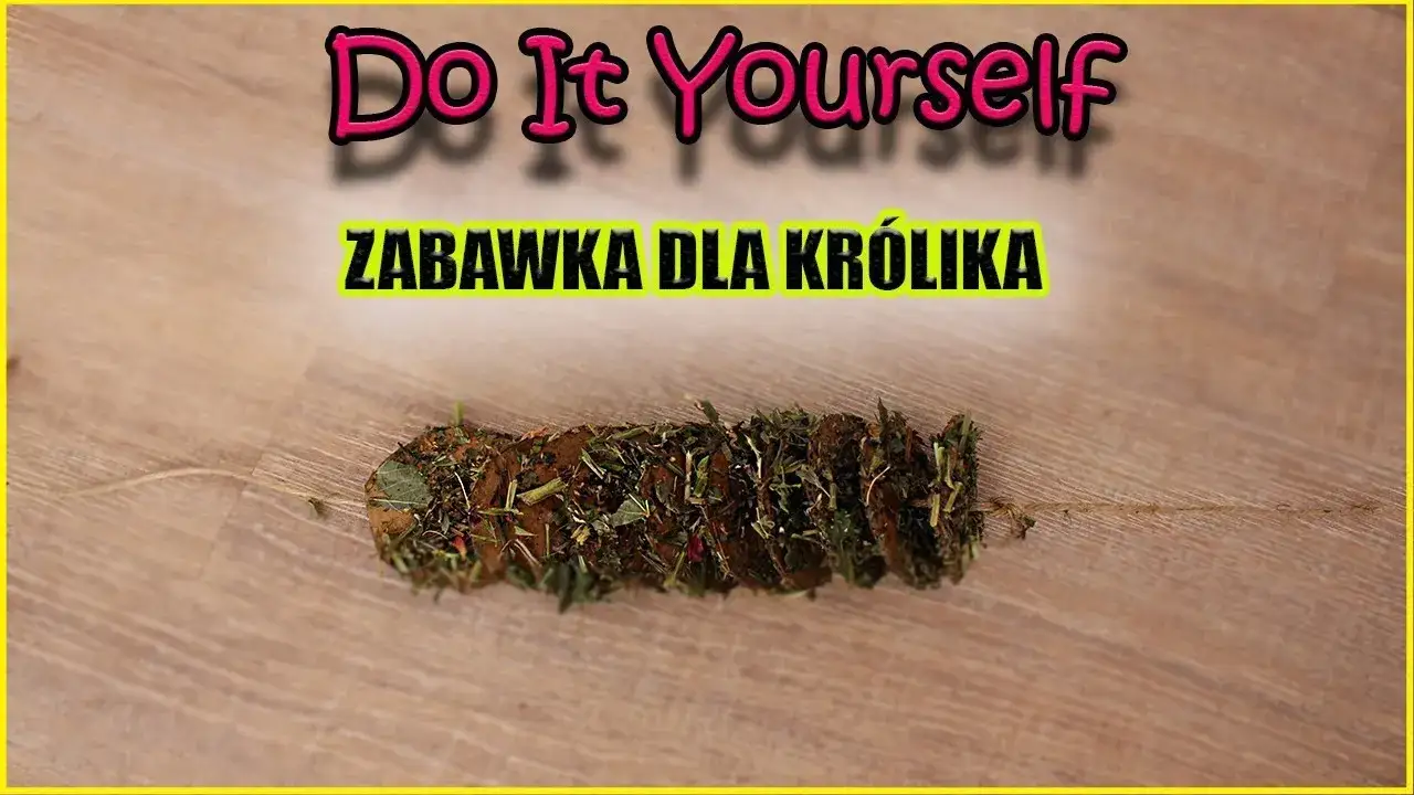 Zdjęcie Jak zrobić zabawki dla kr&oacute;lika: proste i bezpieczne pomysły DIY
